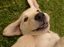 10257992 275123122657813 4855911195082762556 o