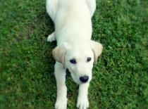 10339477 278862508950541 269758935113829339 o