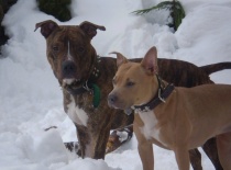 34984 107555559297328 100001286537003 65091 1147255 n