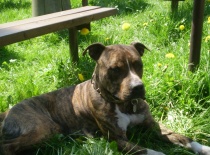 34984 107555562630661 100001286537003 65092 3745930 n