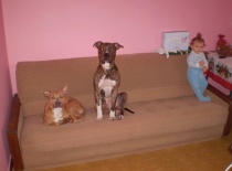 45477 119481738104710 100001286537003 151880 5029461 n