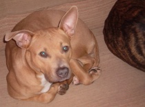 45477 119481741438043 100001286537003 151881 2686879 n