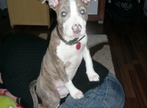 Ares + Zoe - Darinka