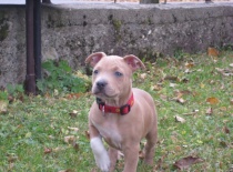 Ares + Zoe - Doriska