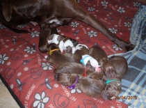 Stenatka 27. 28.4.2012 Theo + Anny