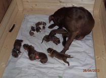 Stenatka 27. 28.4.2012 Theo + Anny