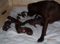 Stenatka 27. 28.4.2012 Theo + Anny