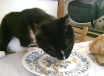 Do čísta, do sucha! =D