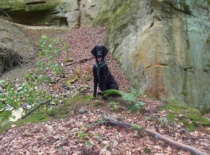 na Třebovských stěnách