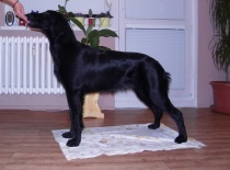 [field_gallery-nid]_[filefield-onlyname-original].[filefield-extension-original]