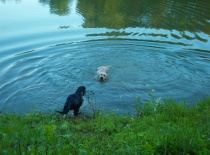 [field_gallery-nid]_[filefield-onlyname-original].[filefield-extension-original]