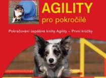Agility pro pokročilé