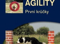 Agility, první krůčky