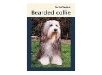 Bearded collie