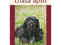 Lhasa apso