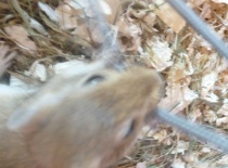 Kouše mi šňurku od foťáku