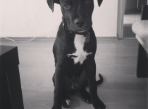 181491 10200938207406973 863378499 n