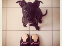 379743 425295180902426 735088493 n