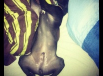 550356 439923519432378 141430261 n