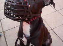 942392 441396882618375 1380663544 n