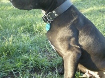 944173 446349085456488 1343984034 n