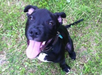 971223 450954451662618 1250185789 n