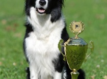 MČR BOC ve výkonu   IPO3 2. místo