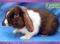 fantastické modré oči