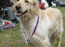 [field_gallery-nid]_[filefield-onlyname-original].[filefield-extension-original]