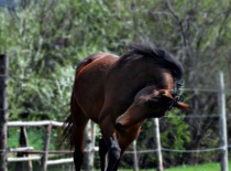 945707 4685294780923 1250611059 n