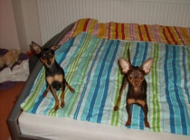 308012 3269904805485 1891519855 n 0