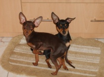 380746 2613309111003 1504343904 n 0