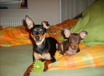 387465 2059089895869 1040606473 n 0