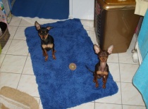 529105 2613313911123 317496798 n 0