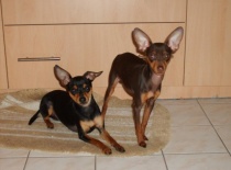 560392 2613311871072 1329641991 n 0