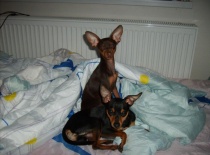 564387 2672703795833 945159693 n 0