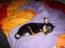 163696 1399194198889 3890215 n 0