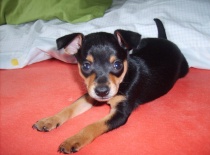 164742 1369130807323 4894809 n 0