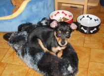 164819 1399187838730 7378712 n 0