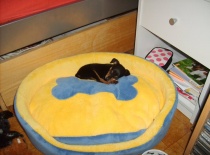 165072 1373813764394 8059114 n 0