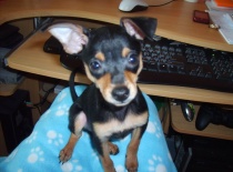 166859 1412971383310 1275976 n 0