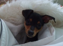 180089 1448480511016 3586069 n 0