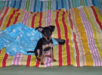 180655 1413206789195 5741866 n 0