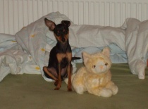 198724 1711629249570 4743412 n 0