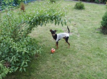 216881 1693036304758 8378905 n 0