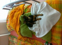 253890 1599528407119 4702292 n 0