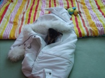 254937 1600916281815 7215385 n 0