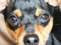 255503 2850841889174 302640945 n 0