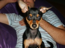 259965 1606658825375 1664806 n 0