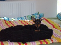 261880 1618057030323 5672961 n